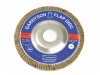 Garryson DIY Zirconium Flap Disc 100mm x 16mm - 80 grit Fine