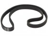 ALM FL268 Drive Belt to Suit Flymo