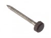 Forgefix Polytop Pin Brown Stainless Steel 25mm Box 250
